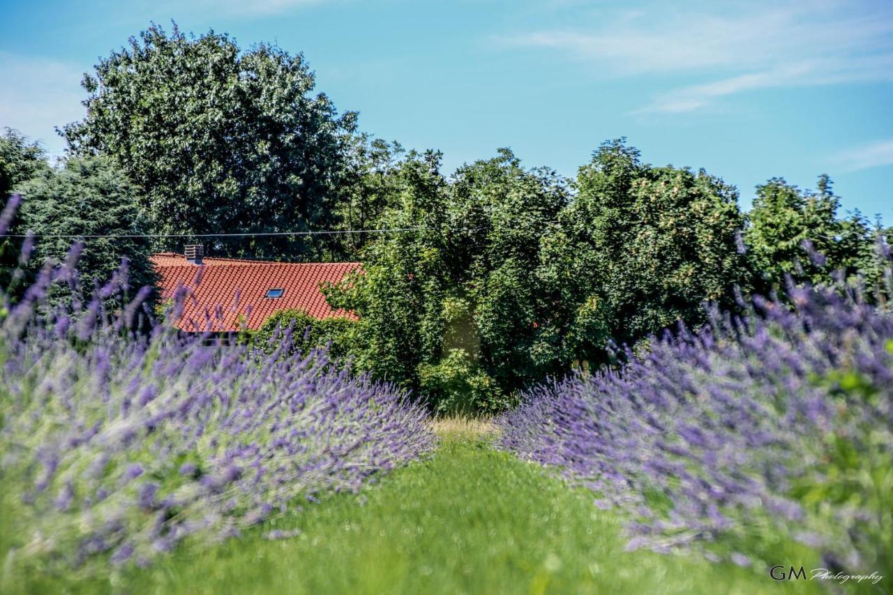 Azienda Agricola La Macina Bregnano Zewnętrze zdjęcie